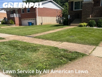Grass Cutting nearby Affton, MO, 