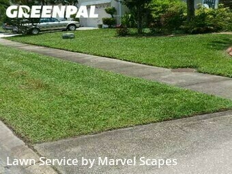 Lawn Mow nearby Kissimmee, FL, 