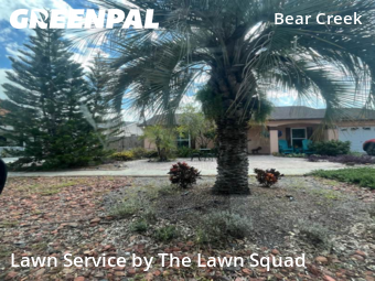 Lawn Care Service nearby Port Richey, FL, 