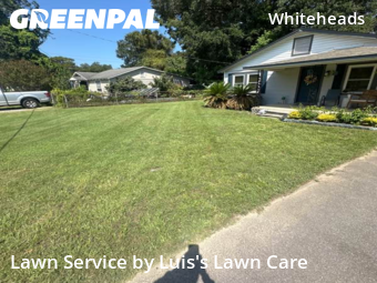 Grass Cut nearby Pensacola, FL, 