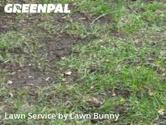 Lawn Care nearby Eden Prairie, MN, 