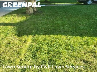 Lawn Care nearby Rochester Hills, MI, 