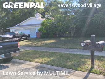 Grass Cut nearby Hudson, FL, 