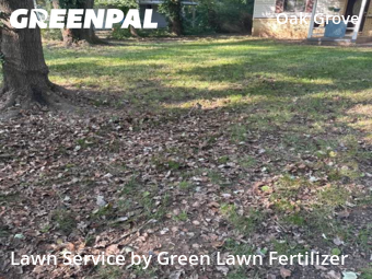 Lawn Care Service nearby Springfield, MO, 