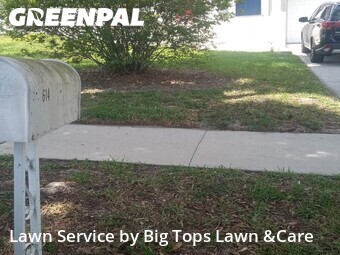 Grass Cut nearby Altamonte Springs, FL, 