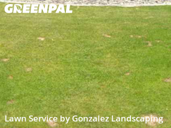 Yard Management in Sparks, 89441, Landscaping Maintenance by Gonzalez Landscaping, work completed in Nov , 2025