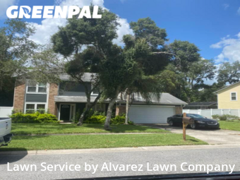 Lawn Mowin Pine Hills,32818,Grass Cut by Alvarez Lawn Company, work completed in Dec , 2025