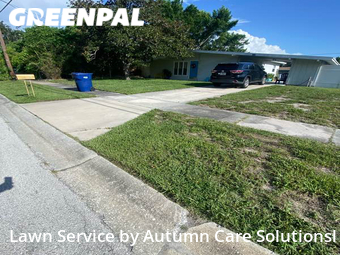 Lawn Cutting nearby Tampa, FL, 
