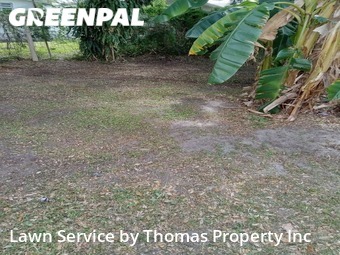 Grass Cutting nearby Miami, FL, 