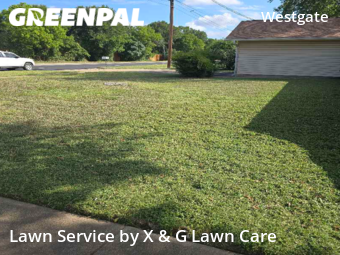 Grass Cut nearby Austin, TX, 