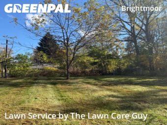 Property Maintenance in Detroit, 48223, Turf Services by The Lawn Care Guy , work completed in Nov , 2025
