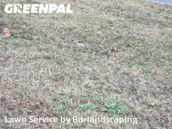 Front Yard Mowing in Charleston, 29412, Yard Cutting by Bdrlandscaping, work completed in Dec , 2025
