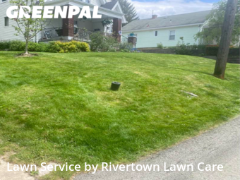 Grass Cut nearby Pittsburgh, PA, 