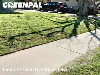 Grass Cut nearby Palmdale, CA, 
