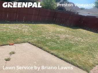 Grass Cutting nearby Frisco, TX, 