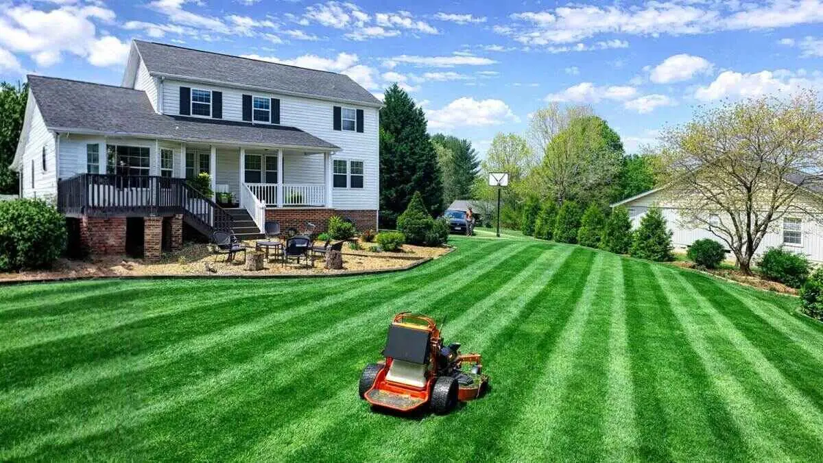 GreenPal vs. Lawn Doctor: Which Lawn Care Service is Right for You? By Greenpal