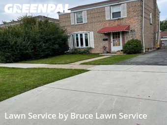 Lawn Cutting nearby Lyons, IL, 