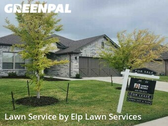 Grass Cutting nearby Forney, TX, 