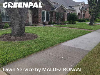 Lawn Mow nearby Allen, TX, 