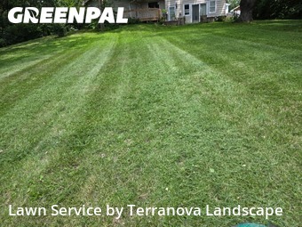 Yard Upkeep in Glen Ellyn, 60137, Yard Work by Terranova Landscape, work completed in Oct , 2025