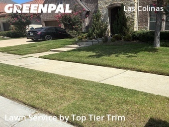 Lawn Care nearby Irving, TX, 