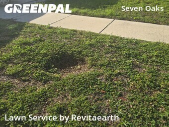 Lawn Service nearby Wesley Chapel, FL, 