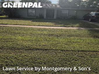 Lawn Care nearby Lakeland, FL, 