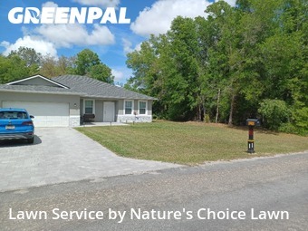 Lawn mowed in Citrus Springs, 34434