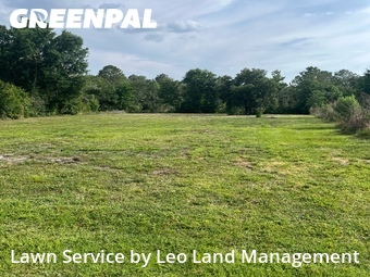 Lawn Servicein Lakeland,33809,Lawn Cut by Leo Land Management , work completed in Jun , 2026