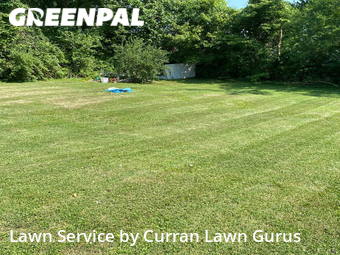 Lawn Cut nearby Belleville, IL, 