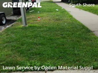 Lawn Mow nearby Chicago, IL, 