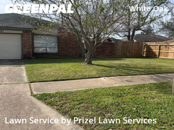 Lawn mowed in Houston, 77064