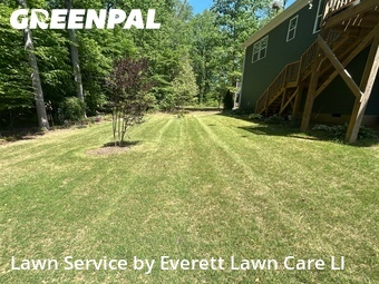 Grass Cut nearby Apex, NC, 