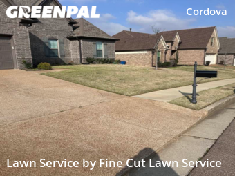 Yard Mowing nearby Shelby County, TN, 