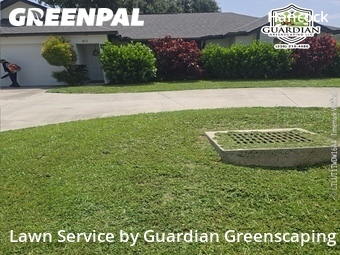Grass Cutting nearby Cape Coral, FL, 