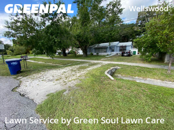 Lawn Maintenance nearby Tampa, FL, 