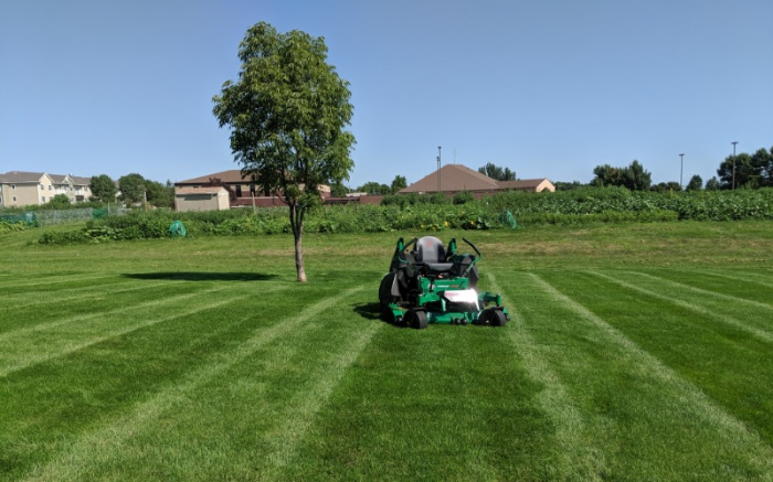 Work Image 1