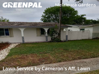 Lawn Cut nearby Dania Beach, FL, 