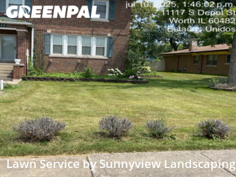 Grass Cut nearby Worth, IL, 