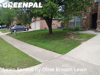 Lawn Servicein Roanoke,76262,Lawn Mowing Service by Olive Branch Lawn, work completed in Jun , 2026