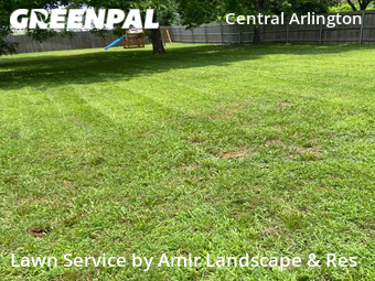 Lawn Maintenance nearby Arlington, TX, 
