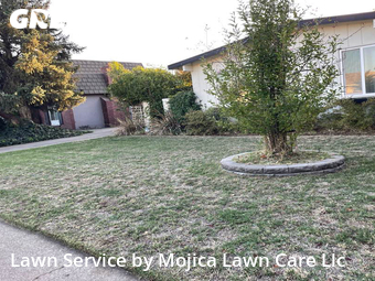 Lawn Cutting nearby Sacramento, CA, 