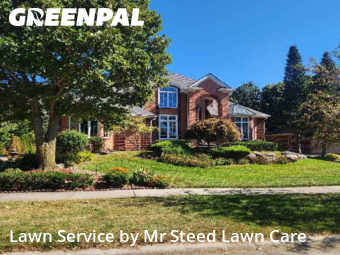 Lawn Services in Farmington Hills, 48335, Mowing Services by Mr Steed Lawn Care, work completed in Nov , 2025