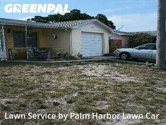 Lawn Care Service nearby Holiday, FL, 