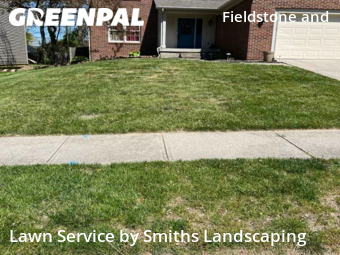 Lawn Mow nearby Indianapolis, IN, 