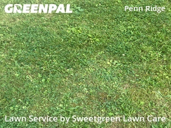 Lawn Service nearby Pittsburgh, PA, 