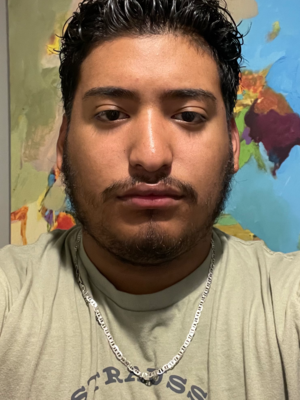 All Purpose Lawncare