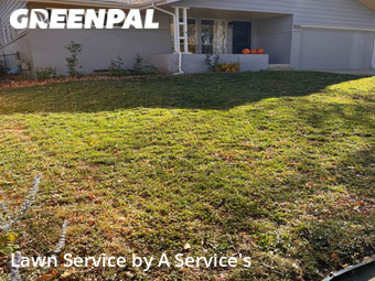 Yard Cutting nearby Boulder, CO, 