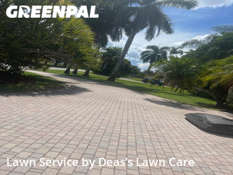 Grass Cut nearby Davie, FL, 