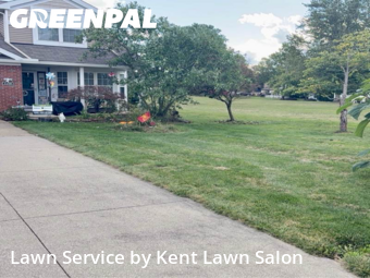 Yard Care in Tallmadge, 44278, Backyard Mowing by Kent Lawn Salon, work completed in Nov , 2025